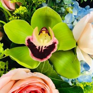 Meet your Posher, Debbie